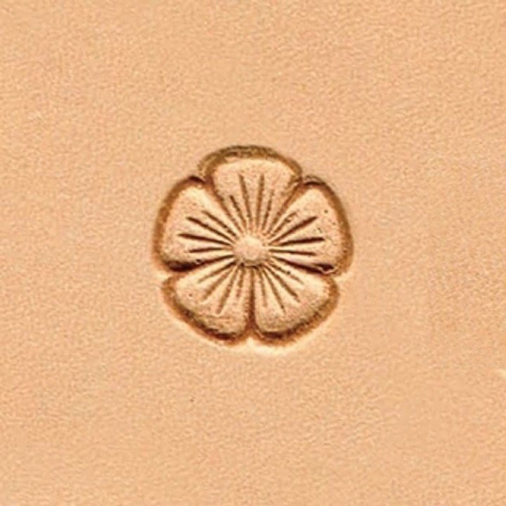 Matoir W531