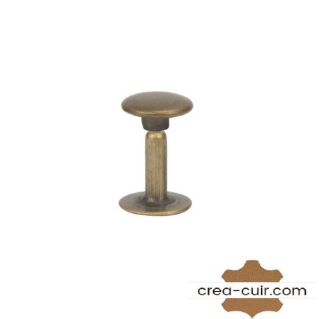 Rivets 9.5 mm x 100 pièces