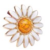 Concho marguerite