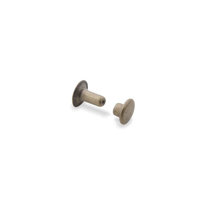 Rivets 9.5 mm x 100 pièces