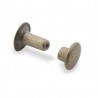 Gros plan d’un rivet à simple calotte en acier finition laiton vieilli, tête de 8 mm et longueur de 9,5 mm